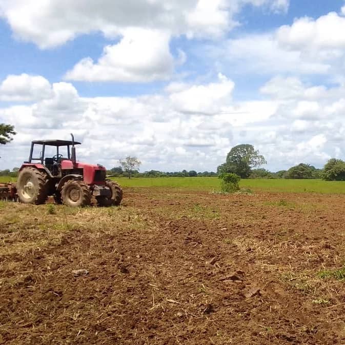 YoDeVzla's tweet photo. 🌽81 productores(as) de Consejos Comunales y Red de Maiceros(as) en Mcpio. Sucre, Estado #Barinas, ejecutan el Plan de Siembra de Maíz Blanco, son aproximadamente 406 Has sembradas en un 60% con germinación de semilla de más de 96%.🇻🇪
@PoderObedencial #PalabraEres @NicolasMaduro https://t.co/uXIUN1hea8