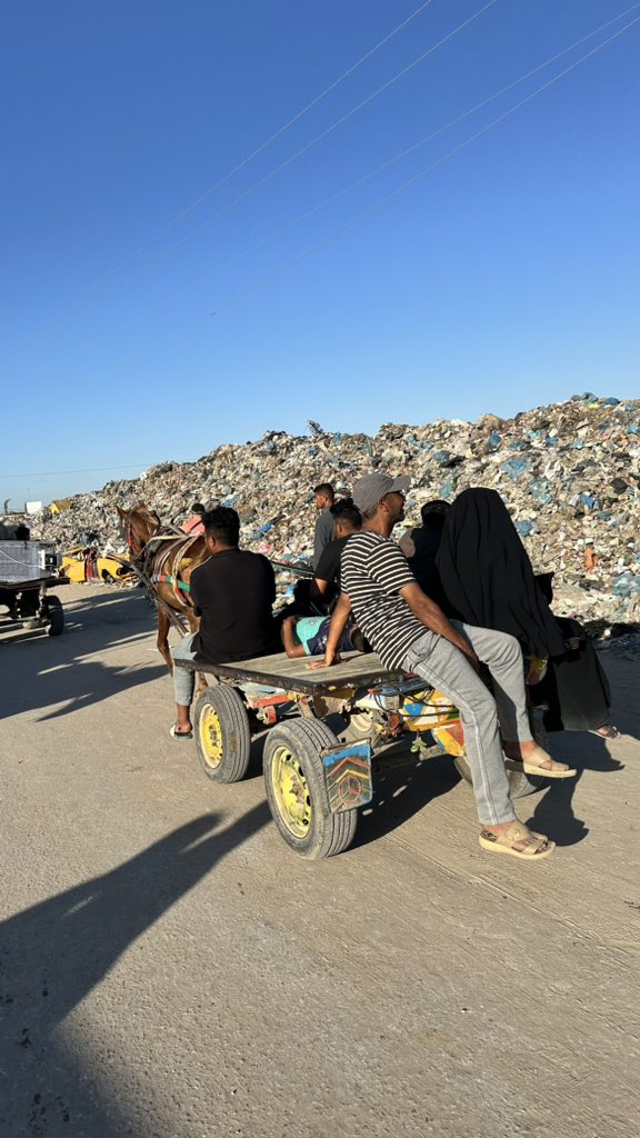 This is how the displacement area in Khan Yunis near Al-Aqsa University looks, with the spread of diseases and insects due to garbage.