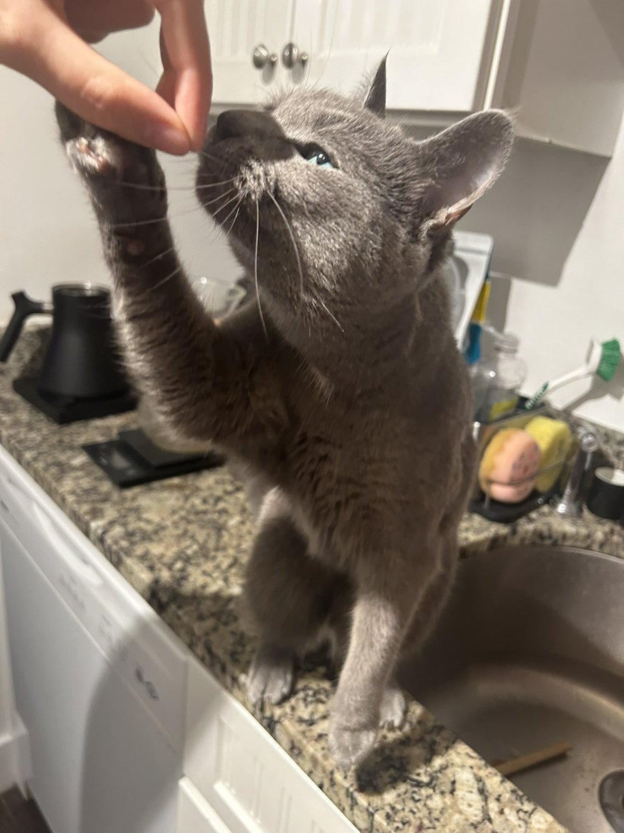 grain. death? tweet media