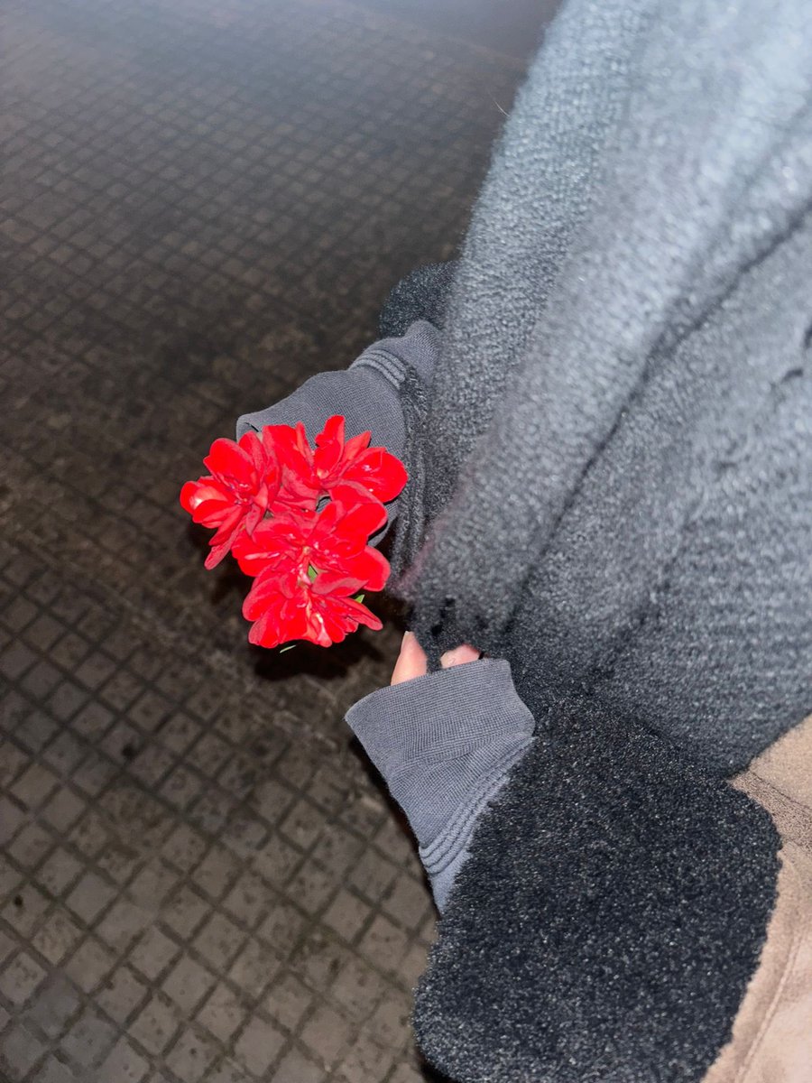 flores solo porque sabe que me gustan❤️