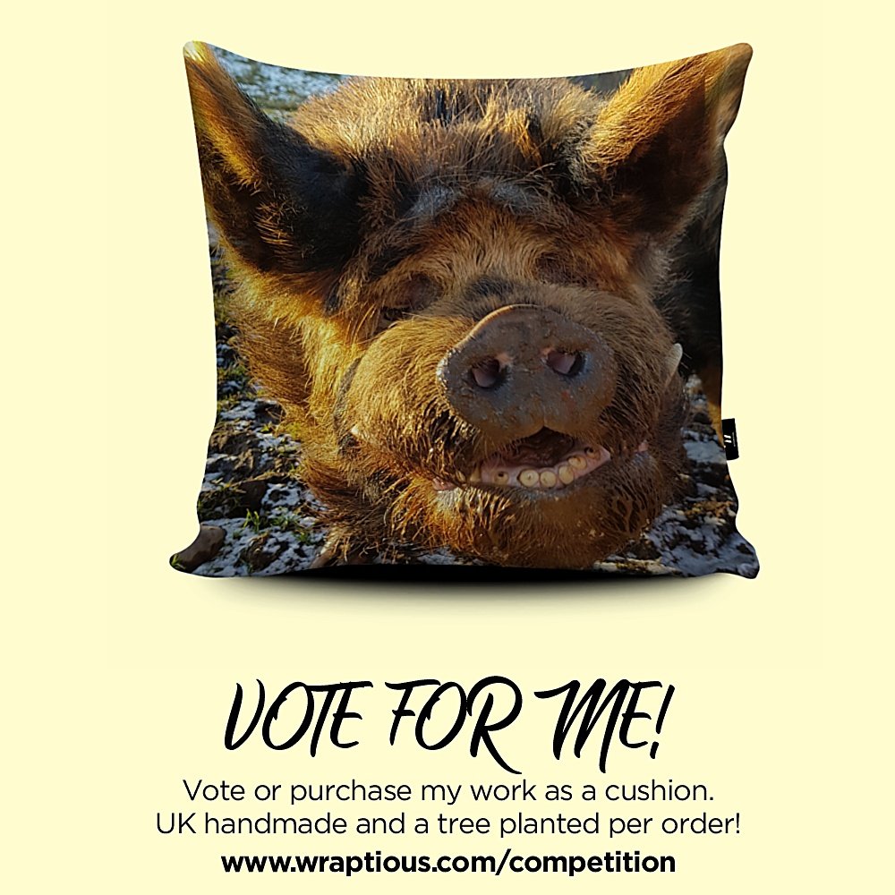 I entered a @wraptious competition. It would be amazing if you could use a spare minute to register a wee vote for my artwork, please 🥰 , and any purchases made with my artwork earn me a wee commission, too ☺️