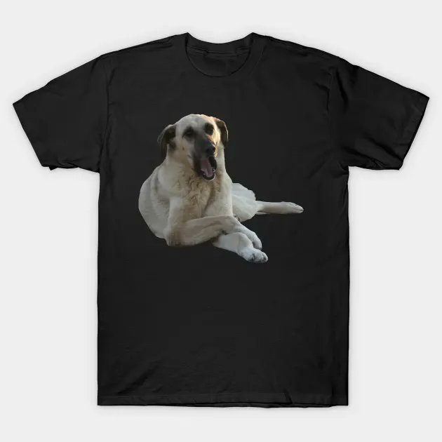 TaicheTees's tweet photo. #Kangal #Dog #Yawning Vector Cut Out - #DogYawning #TShirt #teepublic #kangal #kangaldog #malakl #kangalyavrusu #trkangal #akba #dog #kangalk #sivaskangal #kangaltr #alabai #kangaldogs #r #akbas #kangala #dogs https://t.co/s8vtVJHRPO https://t.co/iyVuUu6g3e