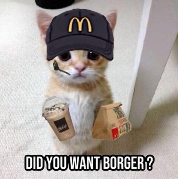hello I'm live on twitch.. come so I don't have to get a job at Mc Donalds pls :3 ttv/kittxnlylol https://t<a href="/tag/throne"class="tags"><span>#throne</span></a><a href="/tag/wishlist"class="tags"><span>#wishlist</span></a>