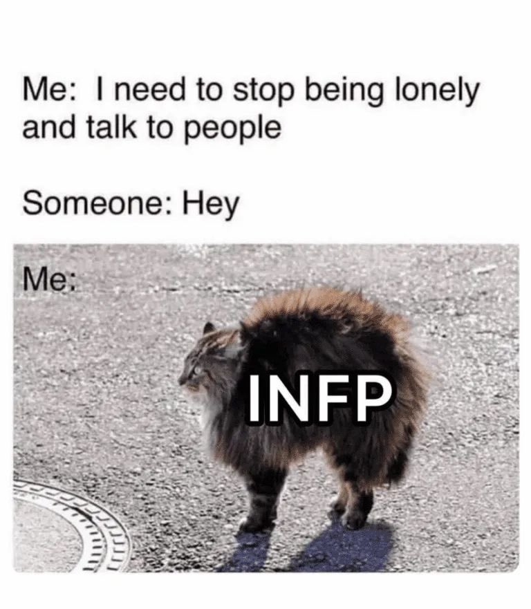 infprelatable's tweet image. #INFP