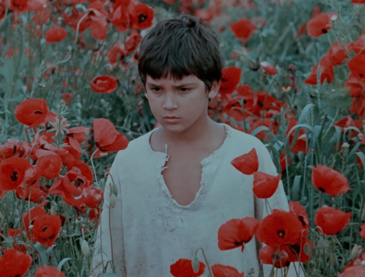 flowersincinema's tweet photo. The Wishing Tree (Tengiz Abuladze, 1976) https://t.co/5zMcHwjg0U