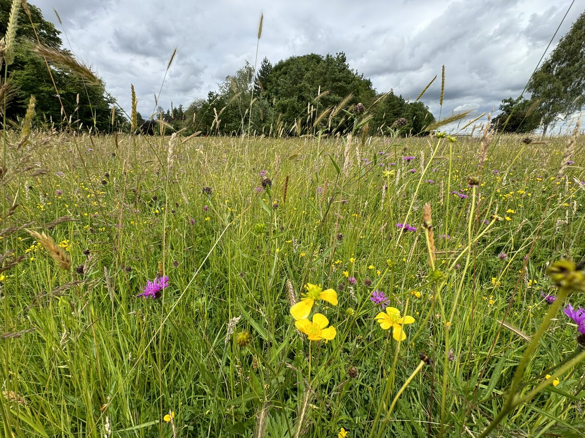 Julian Cooper tweet media