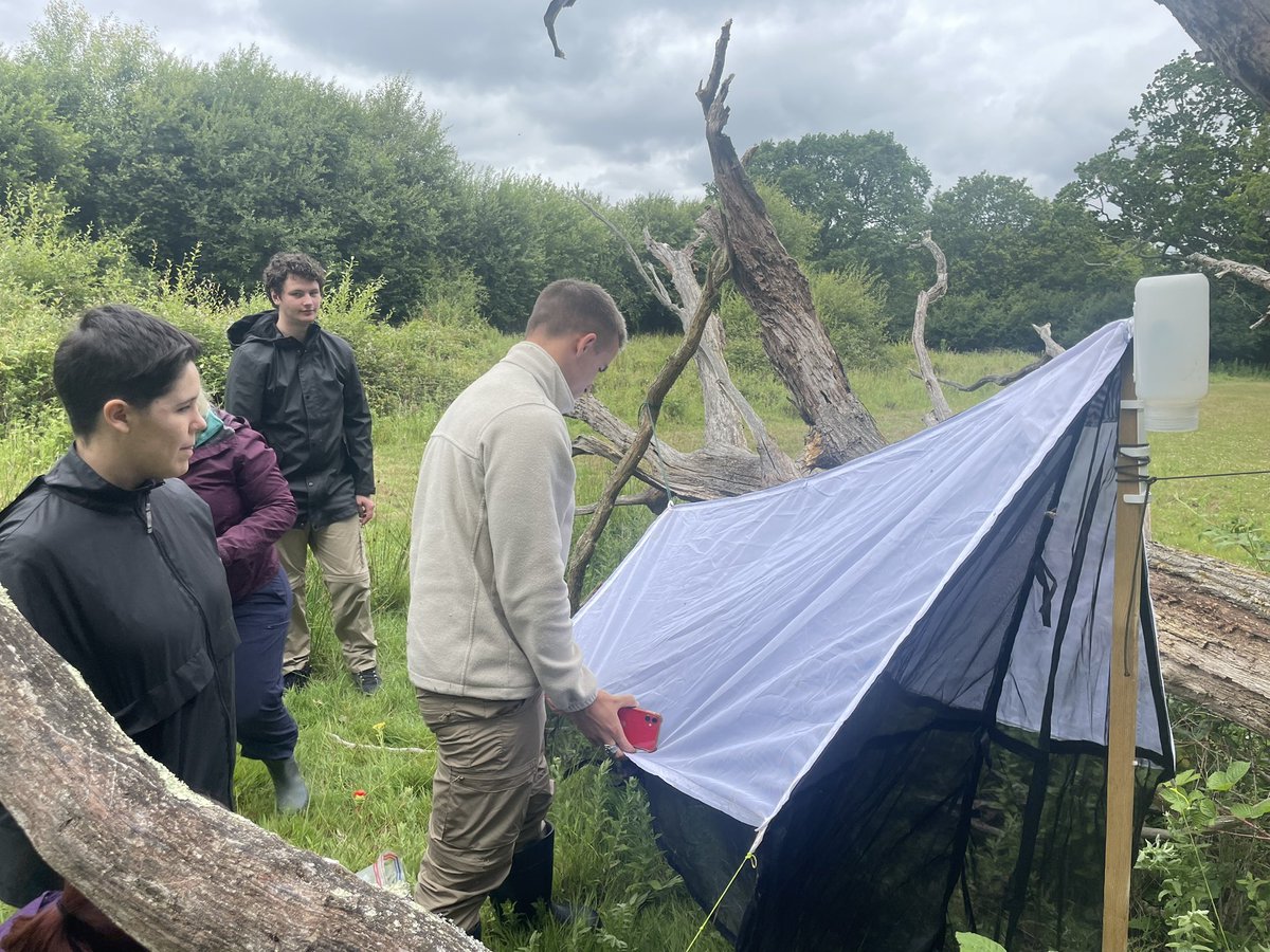 This was the first time any of these students had erected a malaise trap! 

The <a href="/opwall/">Operation Wallacea</a> volunteers are here developing their field skills AND <a href="/NHM_Diptera/">NHM Diptera</a> and @KneppWilding are gaining records about the invertebrates