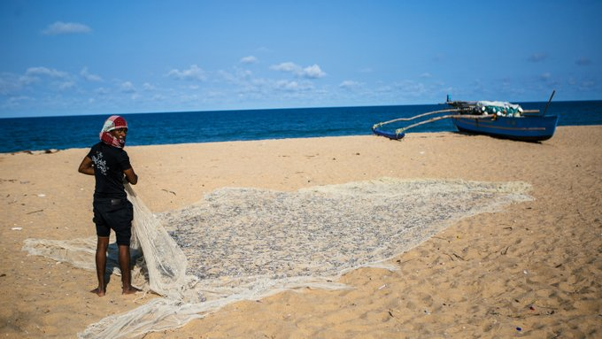 ScienceForAllU's tweet image. Climate change and contaminated water have combined to create an epidemic of kidney disease.