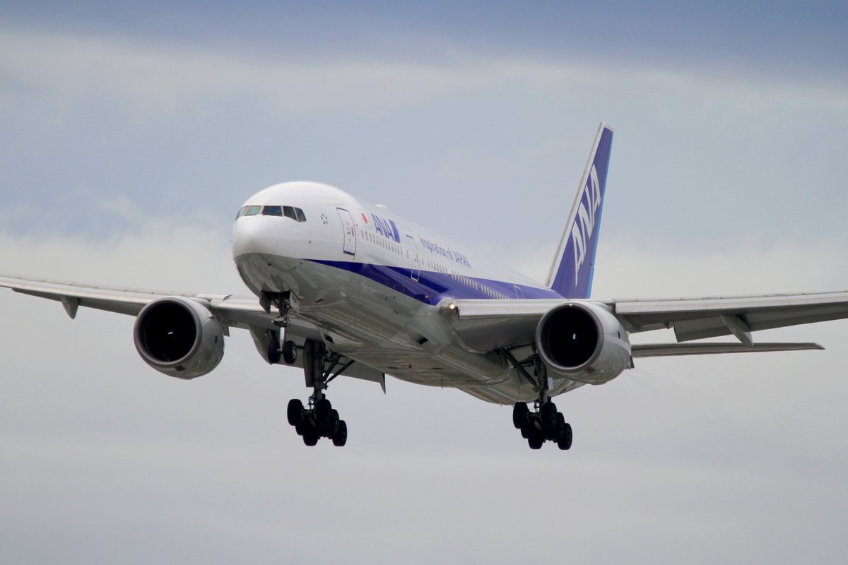 suu451JSDF's tweet photo. #708の日　

#JA708A
#ANA 
#全日本空輸　
#羽田空港　
#伊丹空港 https://t.co/rtT2QSjJUP
