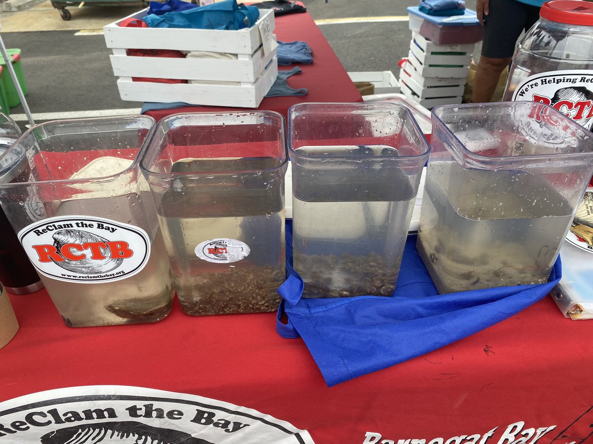 Surf City Farmers Market.  Monday July 8th 8-noon.  Cool merch and the College of Shellfish Knowledge.