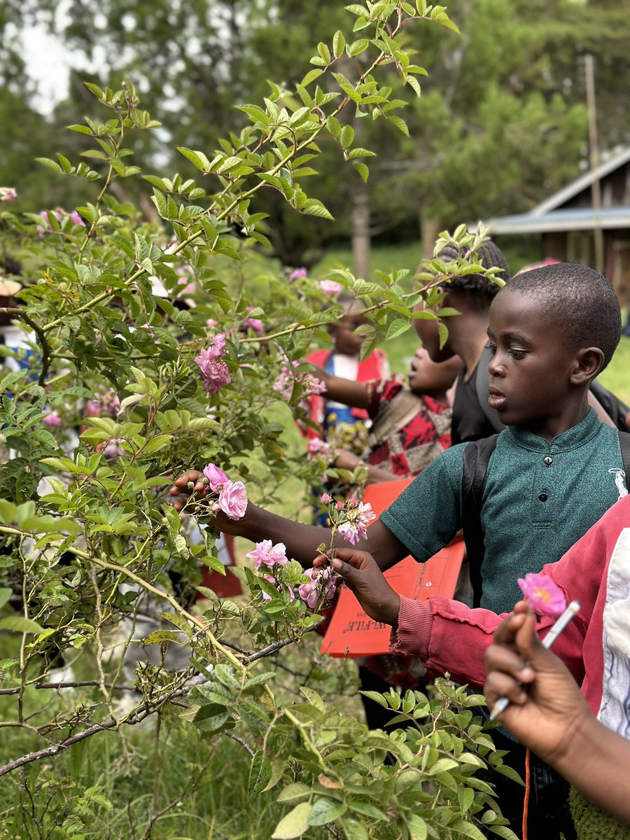 Loah_Org's tweet photo. Embracing the new week with joy and wonder! 🌿🌞 Watching kids explore and appreciate nature is a reminder of the simple joys and adventures around us. Let's connect with the great outdoors and find happiness! #NatureExplorers #HappyKids #glfxmeru https://t.co/ok17SAEZcP