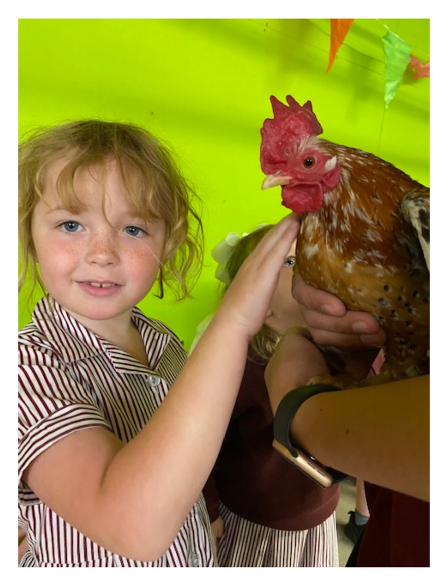 Infants Day Out ⁦<a href="/AttwellFarmPark/">AttwellFarmPark</a>⁩ ⁦<a href="/AttwellFarm/">Attwell Farm</a>⁩ ⁦<a href="/bowbrookhouse/">BowbrookHouseSchool</a>⁩ #AttwellFarm ⁦<a href="/worcesternews/">Worcester News</a>⁩ ⁦<a href="/WorcesterHour/">#WorcestershireHour 📢</a>⁩