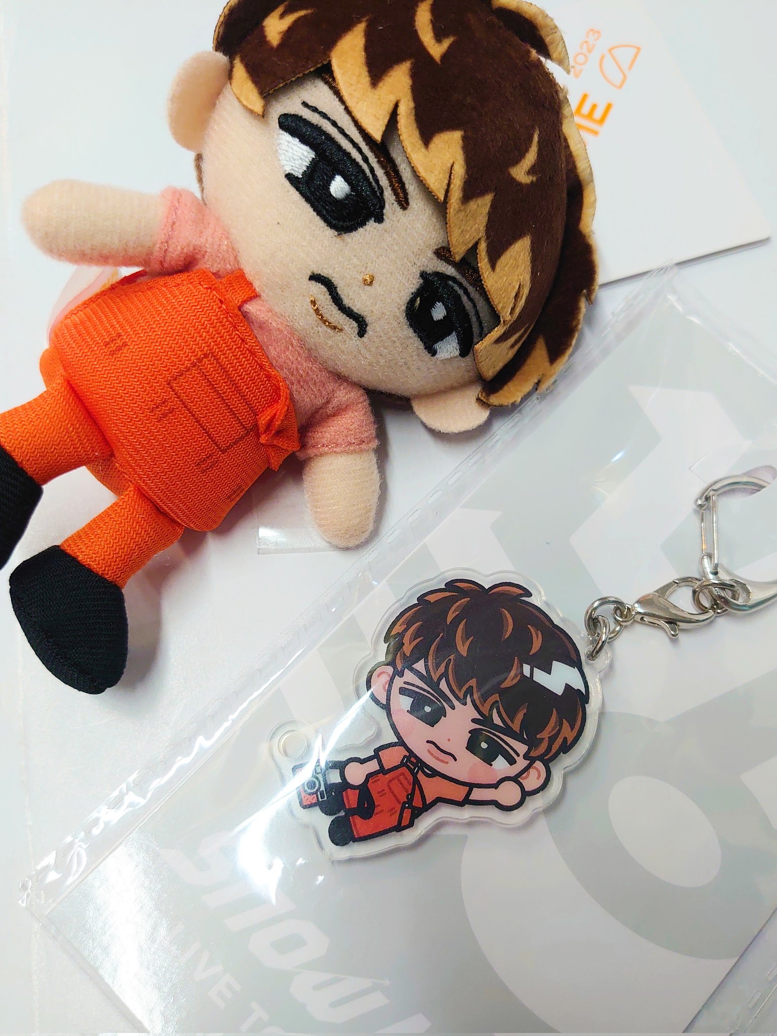 向井康二 すのチル ぬいぐるみ アクリルキーホルダー マウンテン