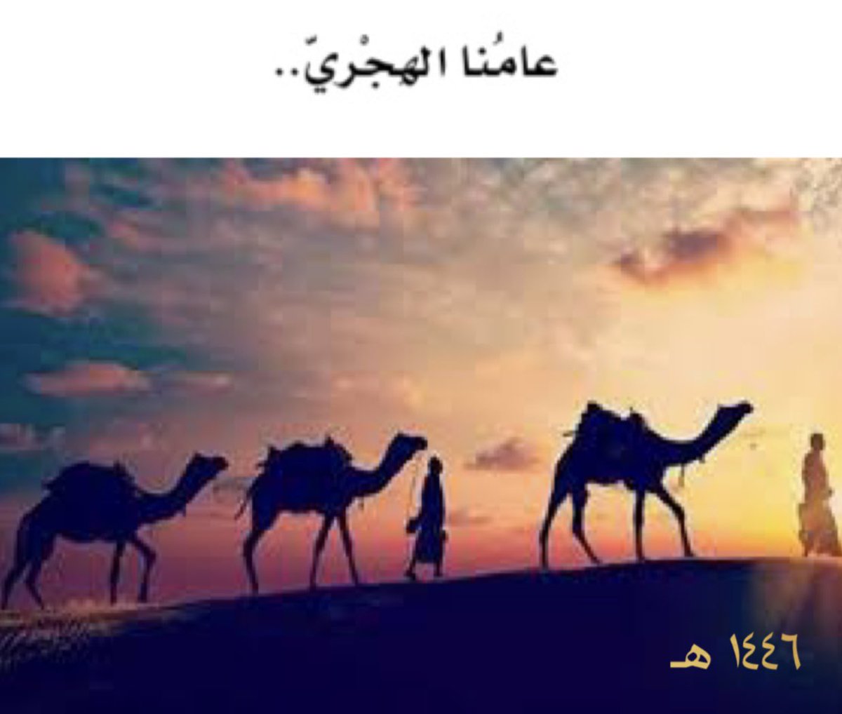 محمد عمير tweet media