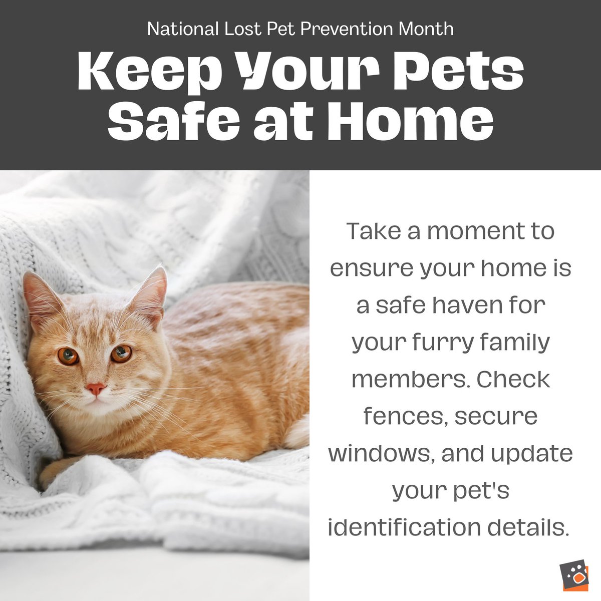 Take steps to ensure your furry family members are safe at home. Check fences, secure windows, and update their ID details. 🐶🐱 #PetSafety #LostPetPrevention