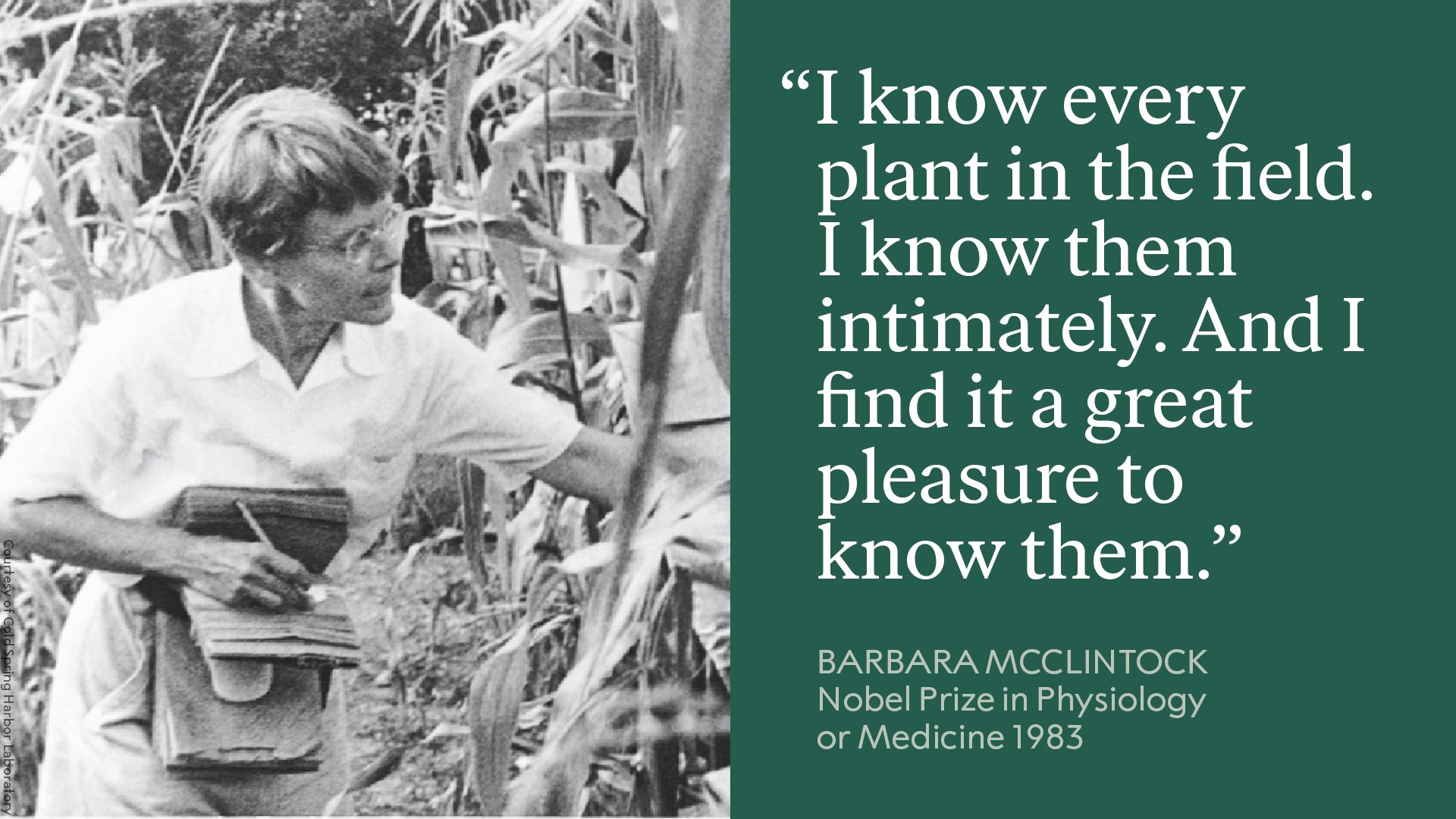 Image featuring a photograph of Barbara McClintock examining plants in a field. She is dressed in a casual shirt and pants, focusing intently on the foliage. To the right, there's a quote attributed to her: "I know every plant in the field. I know them intimately. And I find it a great pleasure to know them." At the bottom, text notes her Nobel Prize in Physiology or Medicine in 1983.
