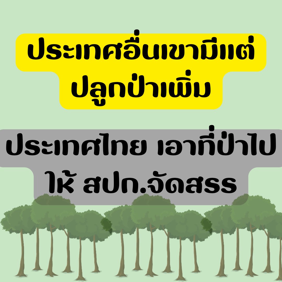 Daokaa tweet media