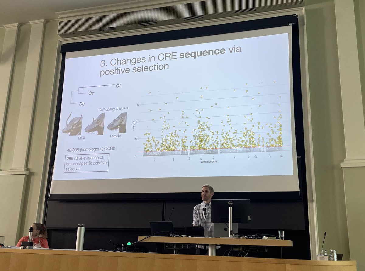 Armin Moczek tweet media
