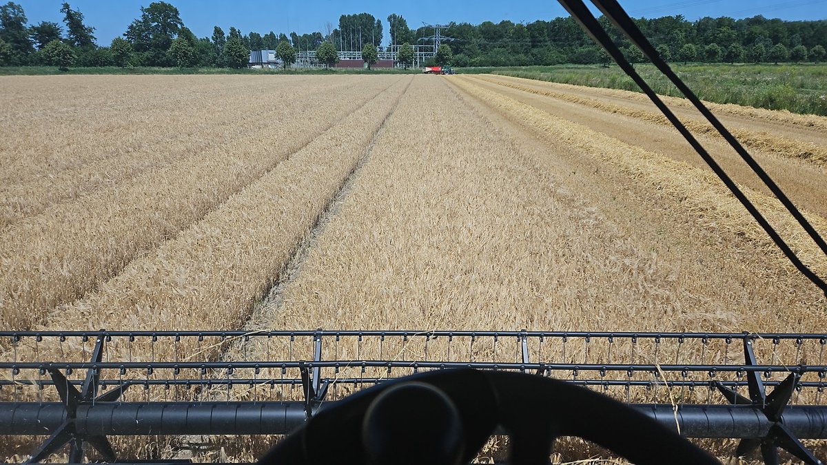 De kop is er weer af👌🏼🌾🌾