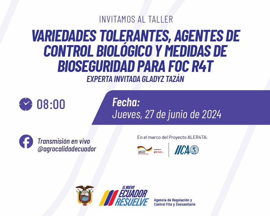 AgrocalidadEC's tweet photo. 📌 Te invitamos a participar en el Taller sobre variedades tolerantes, agentes de control biológico y medidas de bioseguridad para #FocR4T. 

🗓️ 27 de junio de 2024
⏰ 8:00 

🔴 Transmisión En Vivo ⤵️
@agrocalidadecuador

¡Mantenemos a #EcuadorSinFocR4T!
🍌🇪🇨 https://t.co/x95jVSvywP