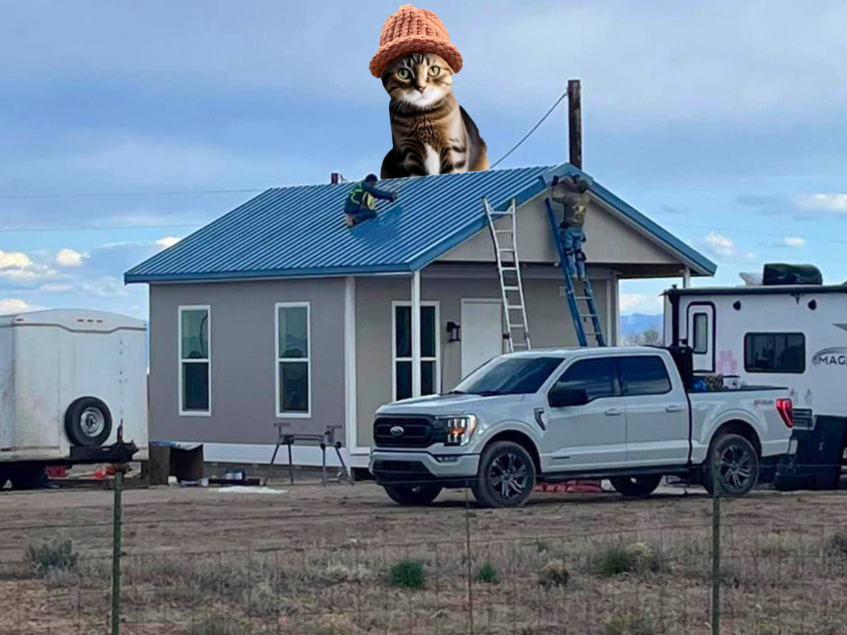 catwifhatsolana's tweet photo. Cute cat greets the affordable housing revolution 🧢 https://t.co/1ZkwIHUqIr