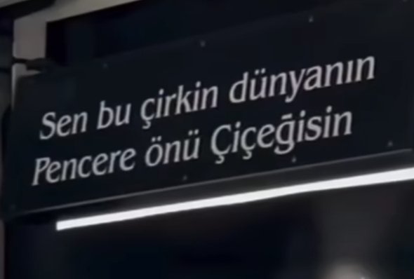 Sen Bu Çirkin Dünya'nın pencere Önü Çiçeğisin.