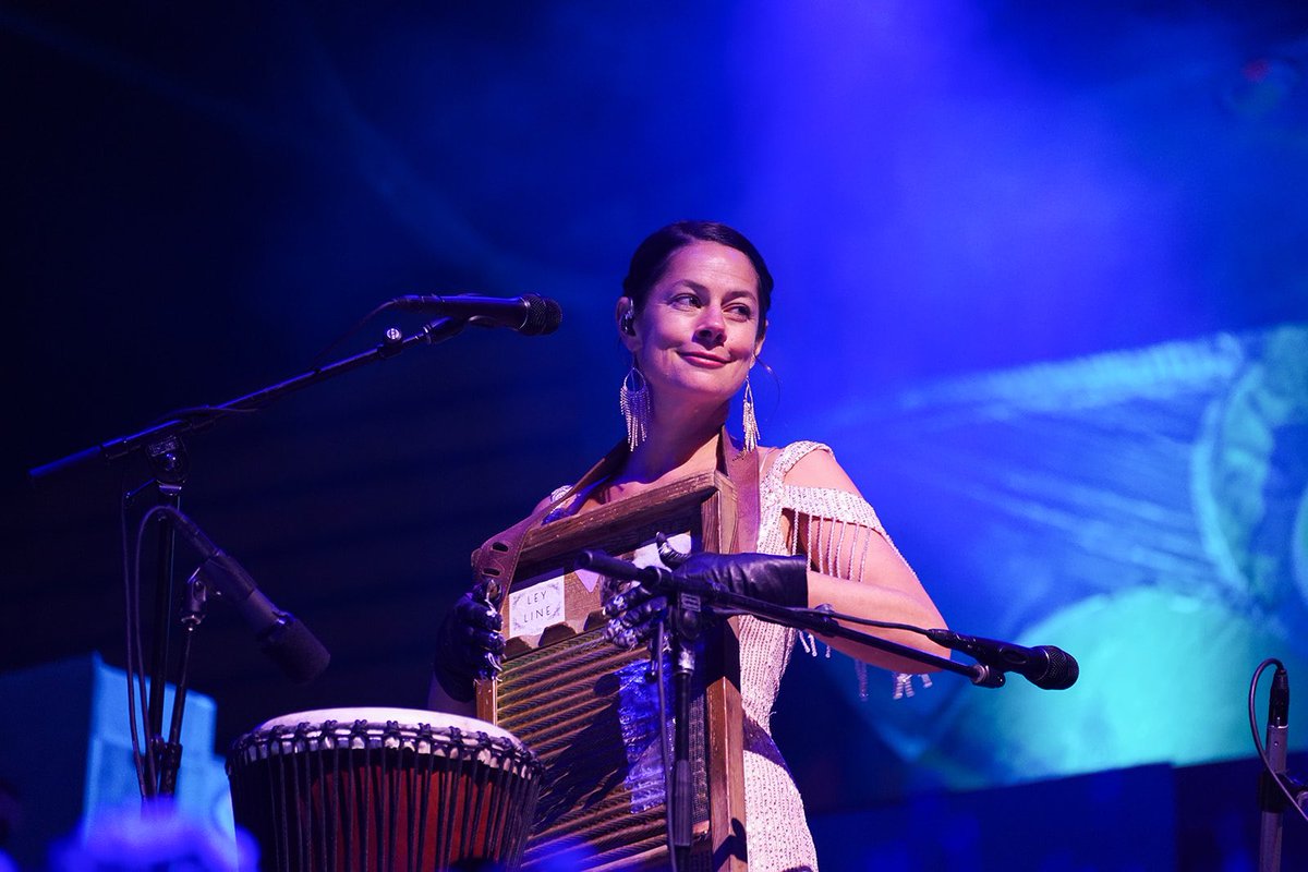 Elephant Revival tweet media