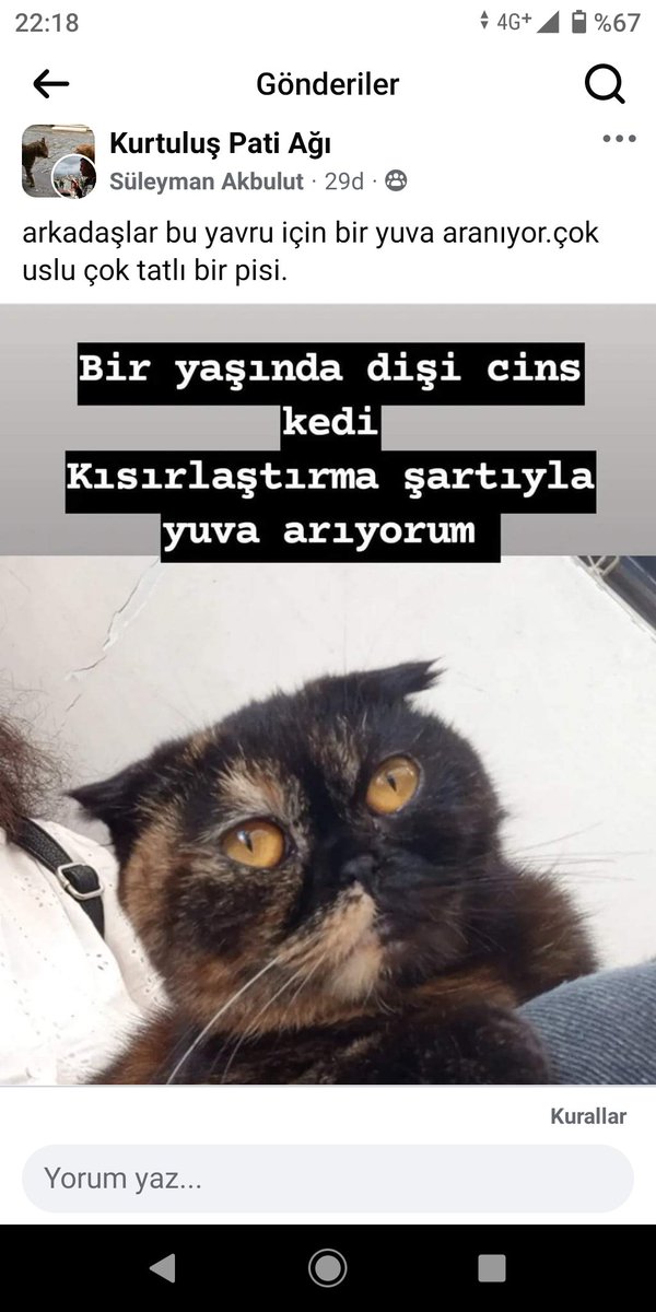 <a href="/ha67750771/">Allah belanı versin tfitır!</a> arkadaşlar bu yavru yuvasız,varsa isteyen beni bulsun.