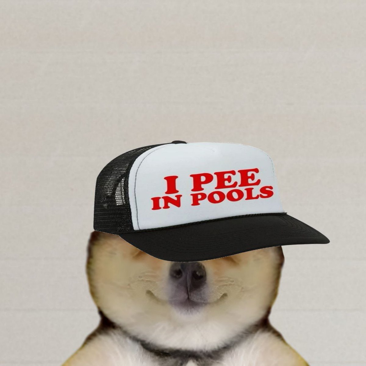Manyu Wif Hat tweet media