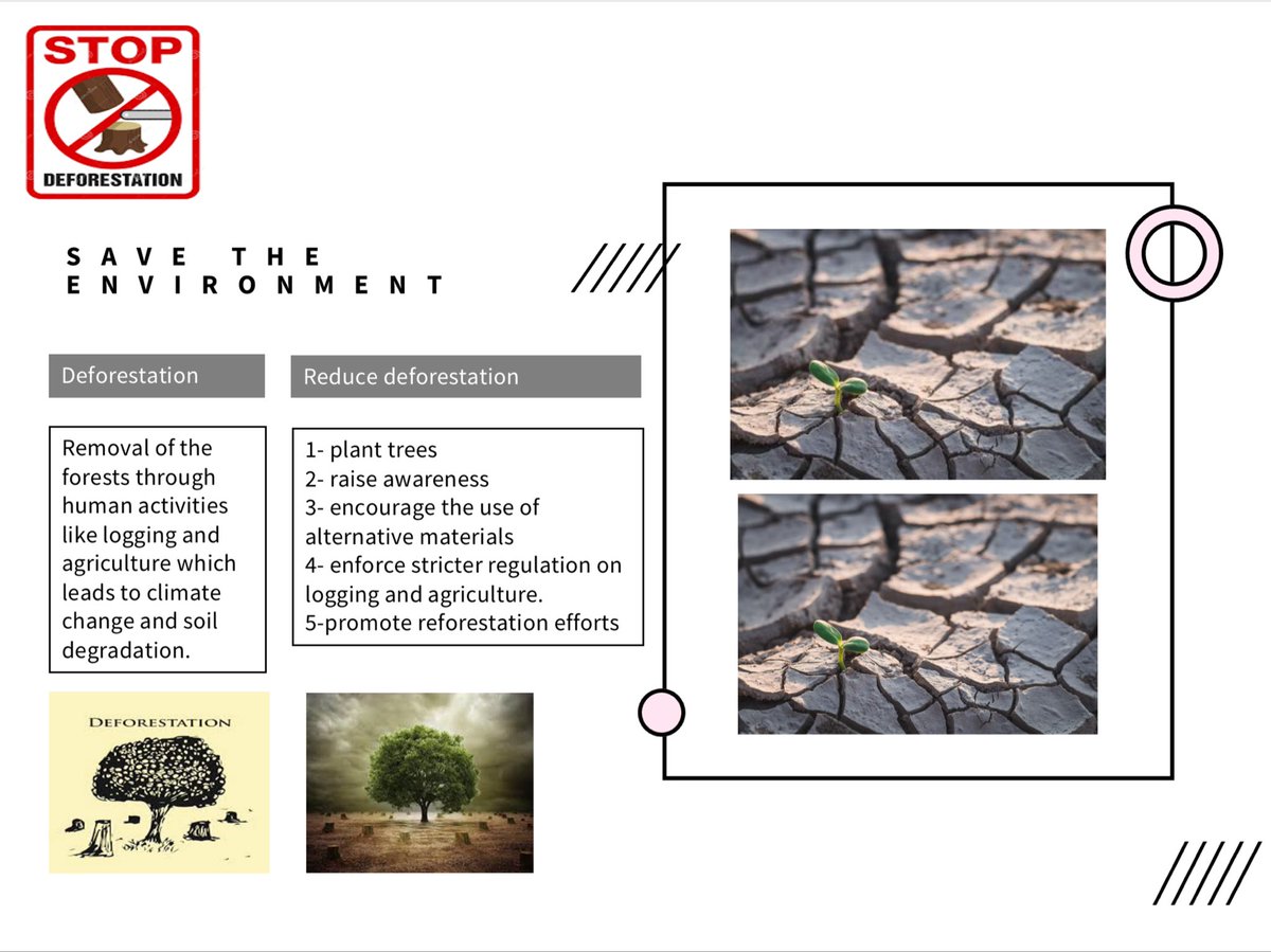 Saving the environment 🌴🪵

Project 1: 325

Instructor:Dr.Walid Chakroun