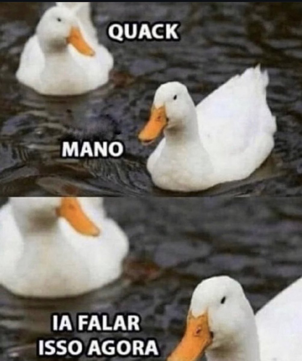 Shitpost só que de verdade (@shitpostverdade) on Twitter photo 