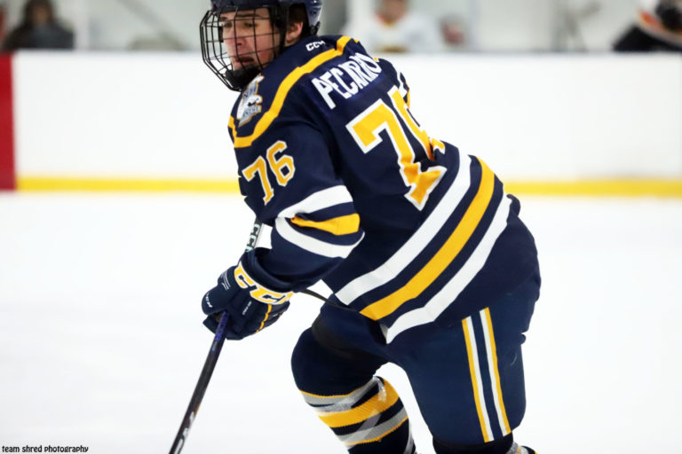 collegehockeyplayers tweet media