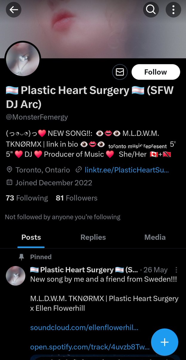 nativeginger13's tweet photo. @TheLawfulEvil @zaelefty @PTElephant And the other Twitter listed on their link tree https://t.co/izXcx7wTpo