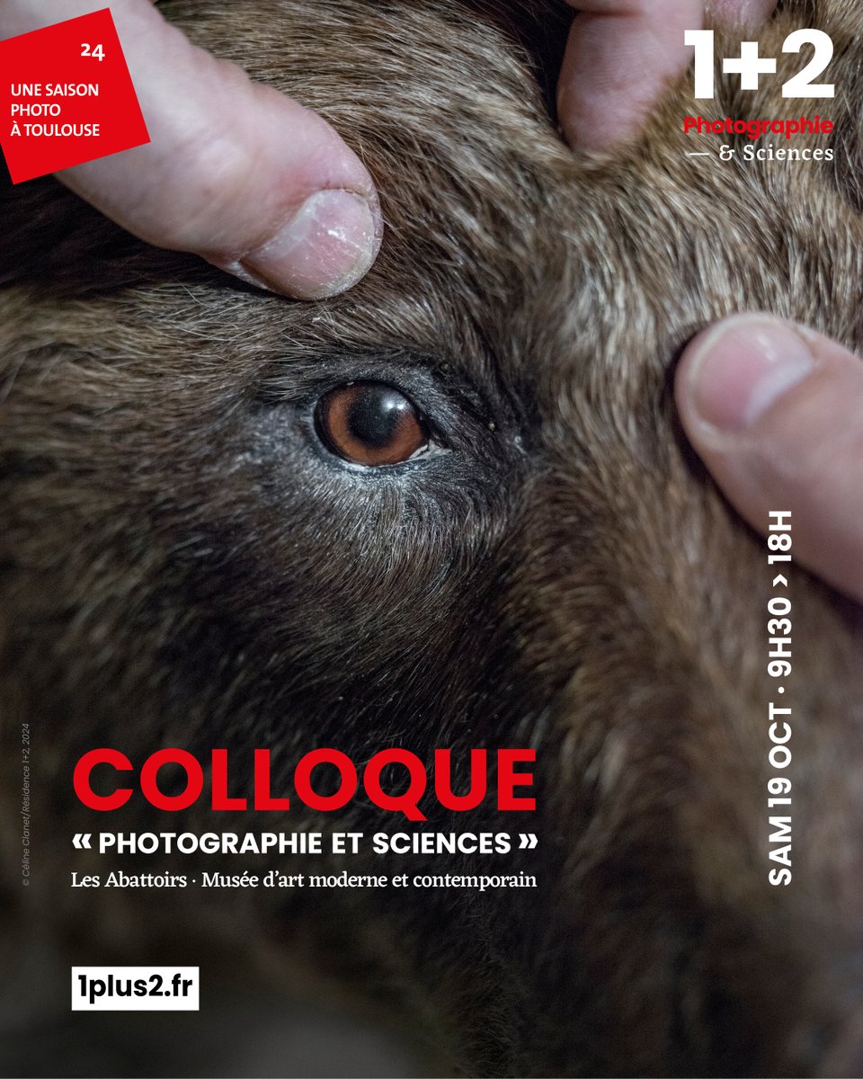 residence1plus2 tweet media