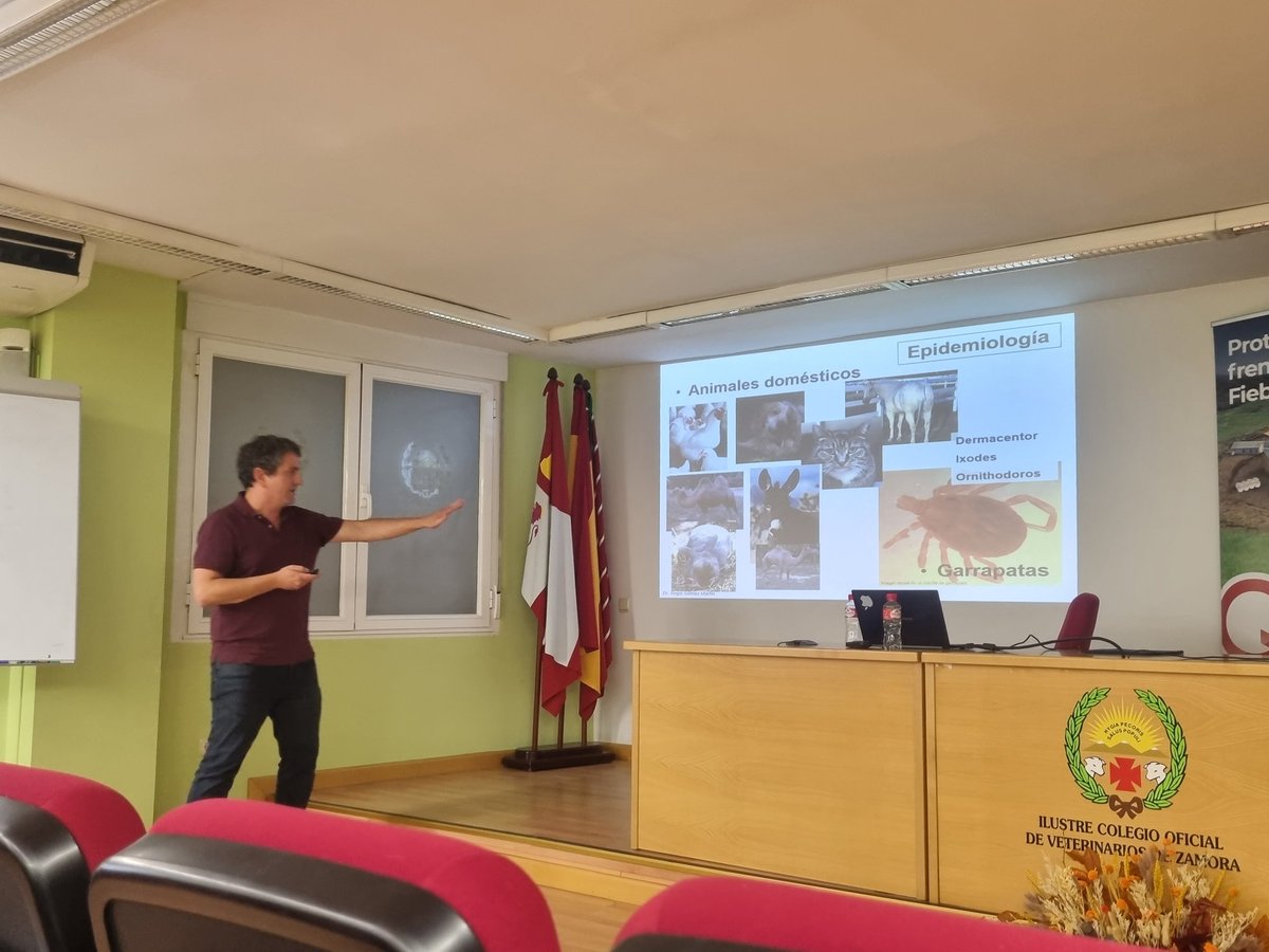 OLGAMINGUEZ_'s tweet photo. El colegio de veterinarios de Zamora ha celebrado hoy una jornada sobre los avances en fiebre Q #Qfever en el entorno #OneHealth punto de vista de @Salud_JCYL #sanidadanimal y avances en investigación a cargo de Angel Gómez de la @uchceu 
#neglecteddisease 
#zoonosis https://t.co/Zxt6zF6Xgw