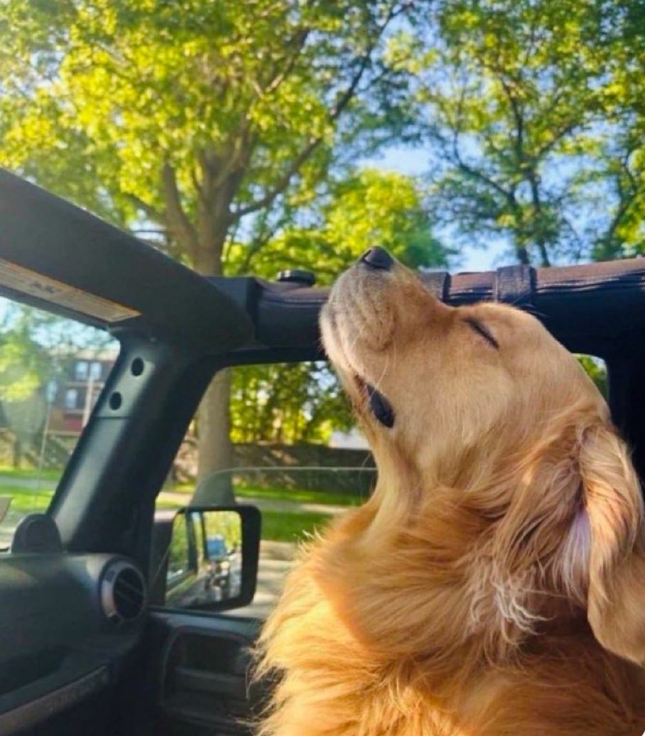 we are so back. 😌