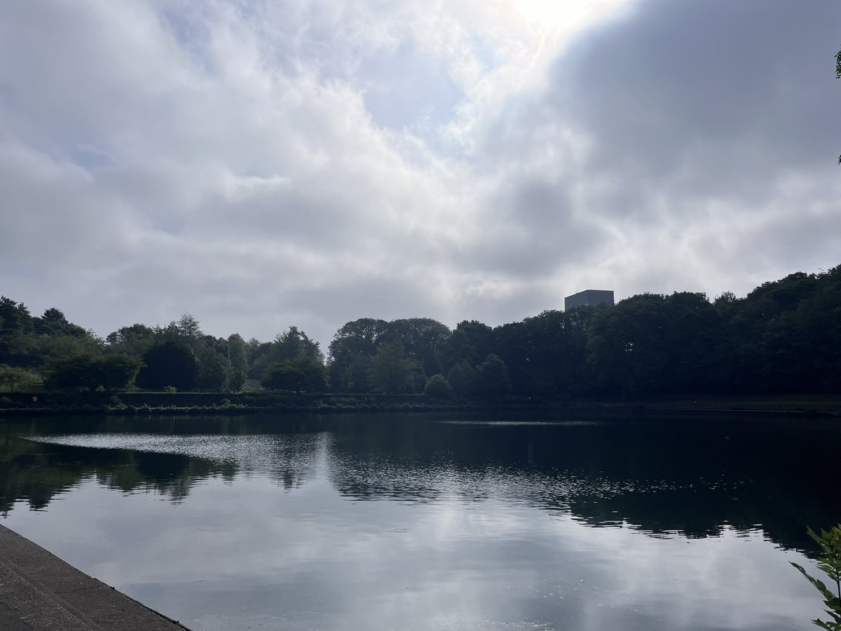 We are super excited to be able to welcome everyone to the #GreenCity in TWO WEEKS time for #BRS2024 If you havent already registered there is still time to join us! boneresearchsociety.org/meeting/brs202…