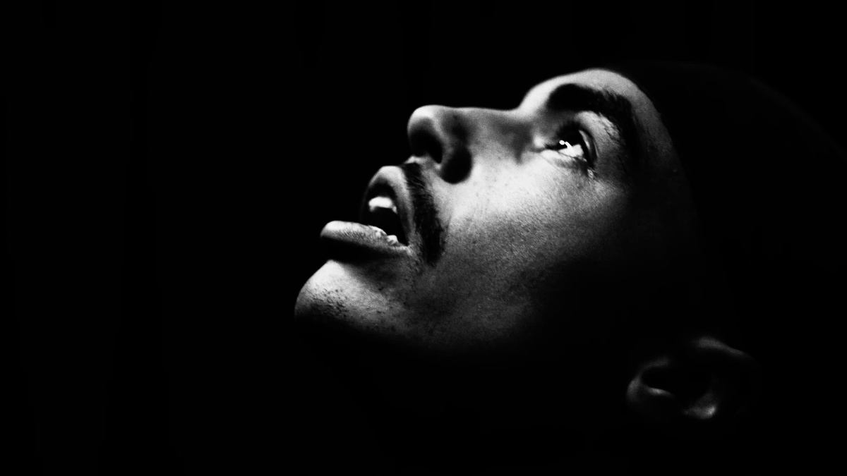 COETUS CORPORA tweet media