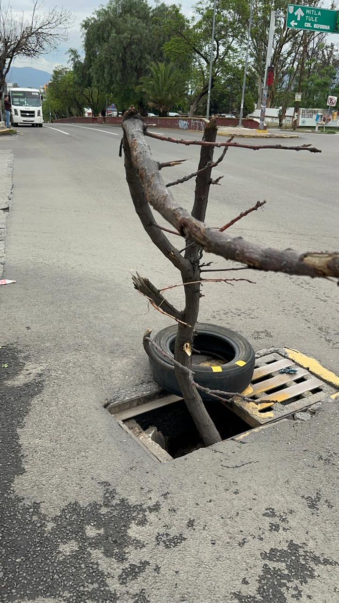Ahh caray, el mega tequio de reforestacion del fin de semana, ya inició en la capital.....