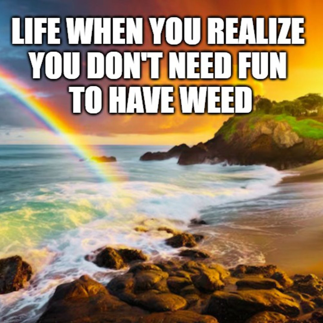 Value Buds tweet media