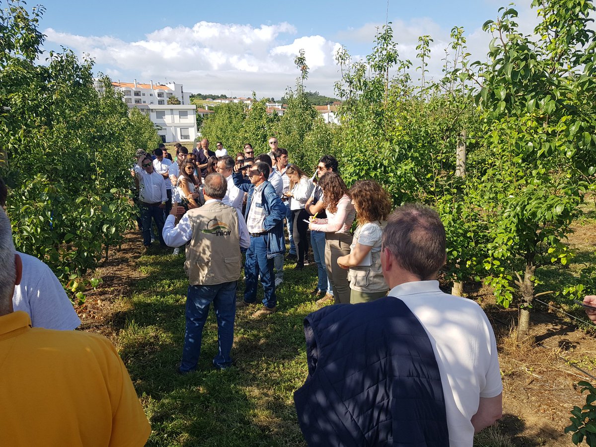 Interpera tweet media