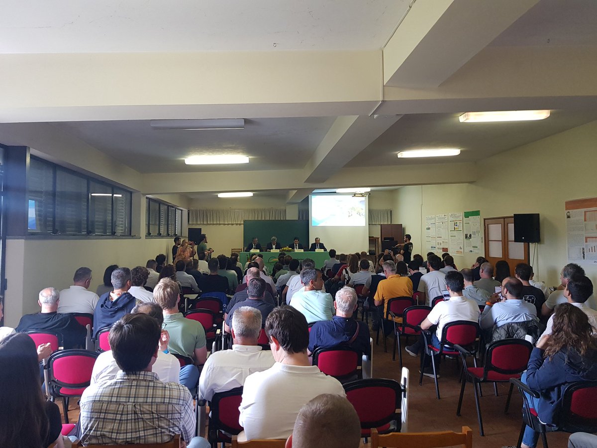 Interpera tweet media