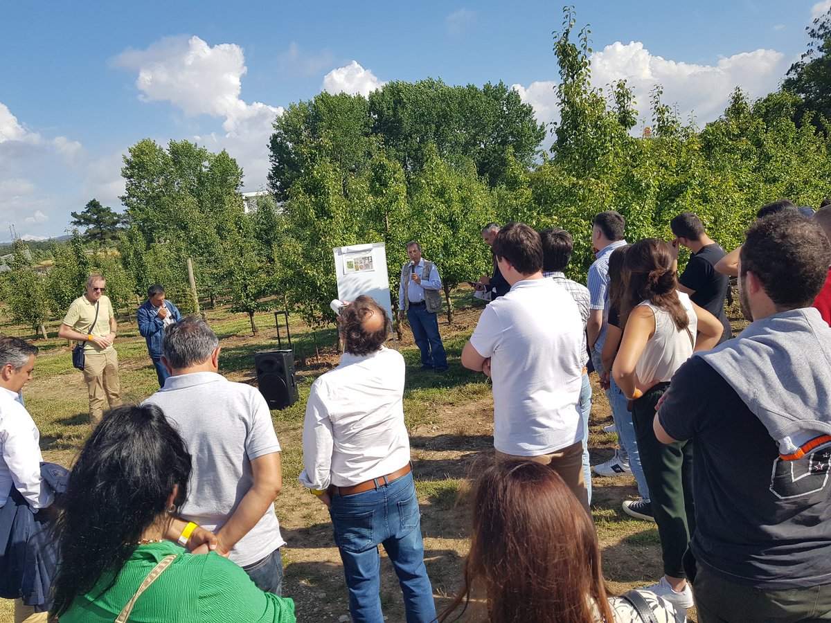 Interpera tweet media