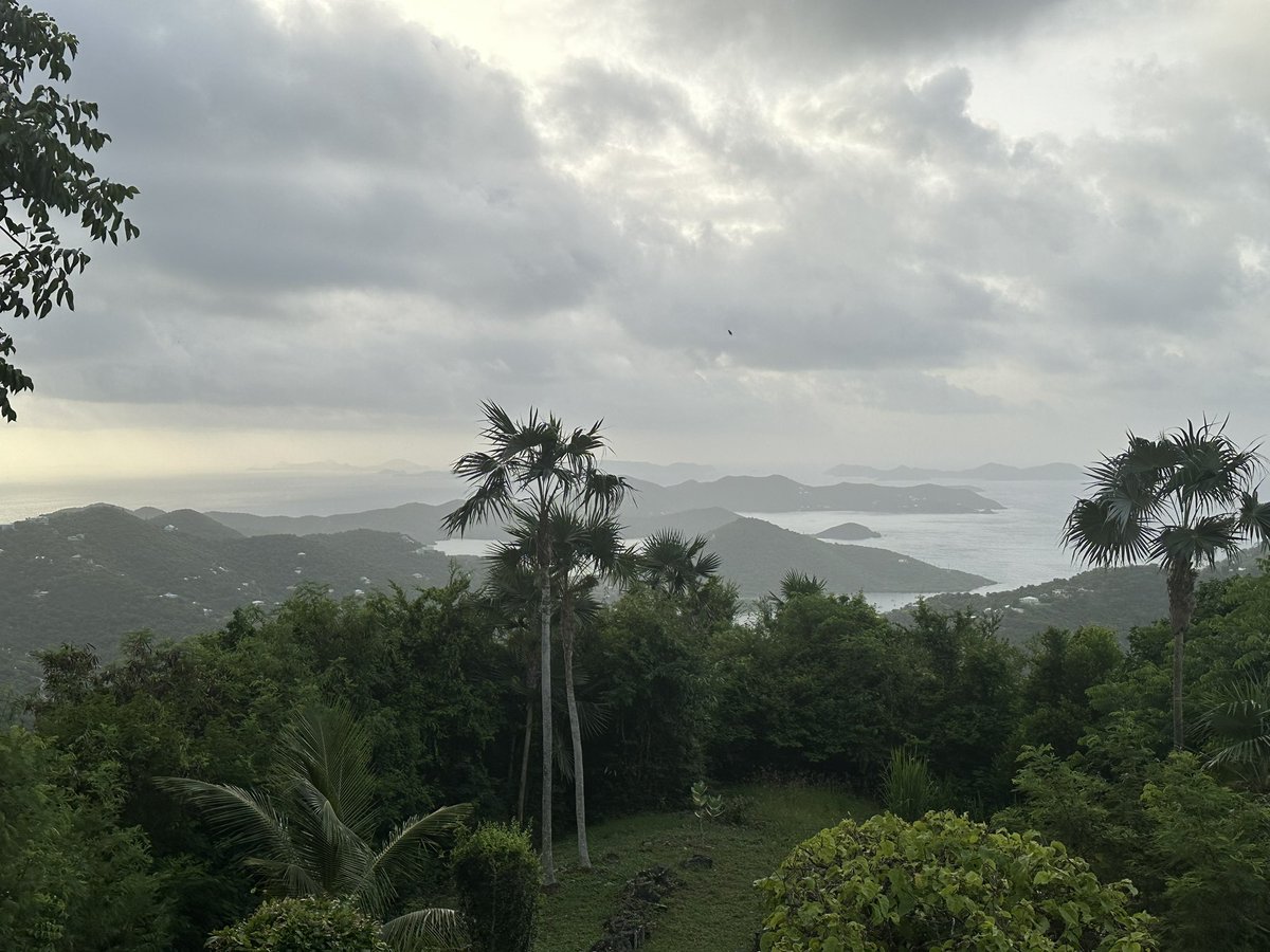 John_ShepardNC's tweet photo. Fresh Grace this beautiful morning! https://t.co/50f34bpaoA