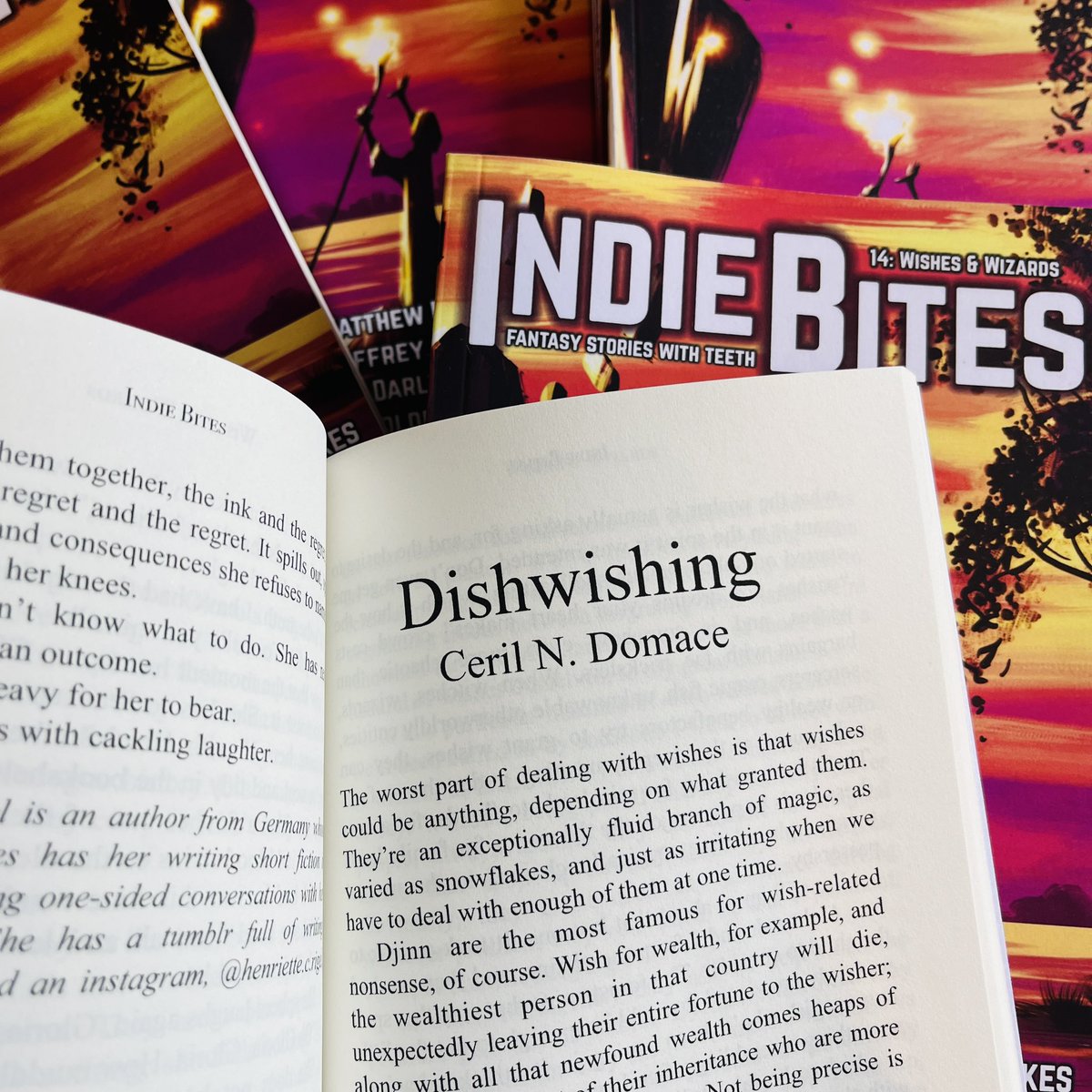 Dishwishing by Ceril N. Domace is available to download FREE in the latest issue of Indie Bites (Wishes &amp; Wizards)

silversunbooks.com/post/wishes-wi…