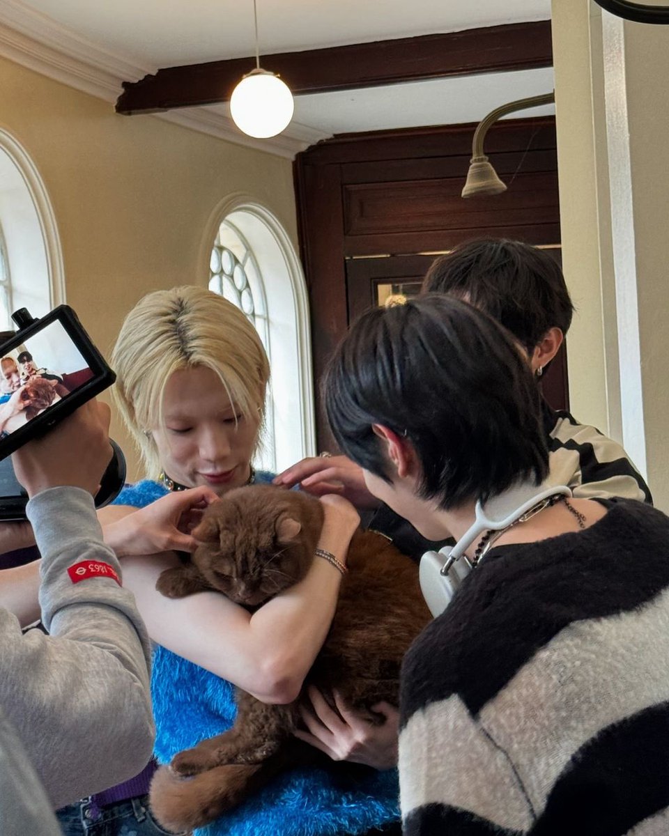 Blitzers_Fr's tweet photo. [📷] - INSTAGRAM 🦫

Les propriétaires du chat qui apparaît dans le MV de Super Power ont publié des photos des garçons avec Oberon (obi.toe.beans) ! 🤎

#블리처스 #BLITZERS #쇼챔피언
#SUPERPOWER https://t.co/9NeJrJQxjY