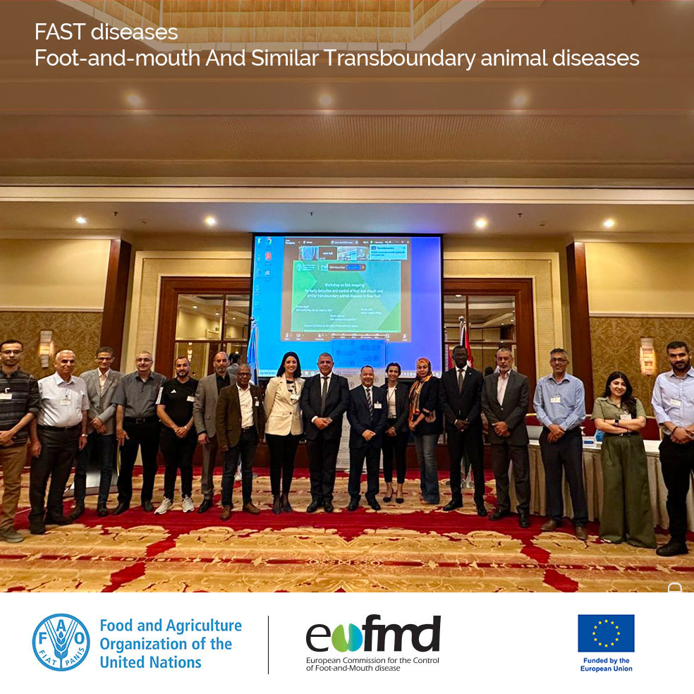 Collaborating with @faojordan, Jordan vet services, and #Empres in the Risk Mapping capacity w/shop. The EuFMD Move-FAST strategy for the control of #FMD has a focus on risk assessment and capacities for the neighboring countries of Europe.
👉More info bit.ly/3xz52xd