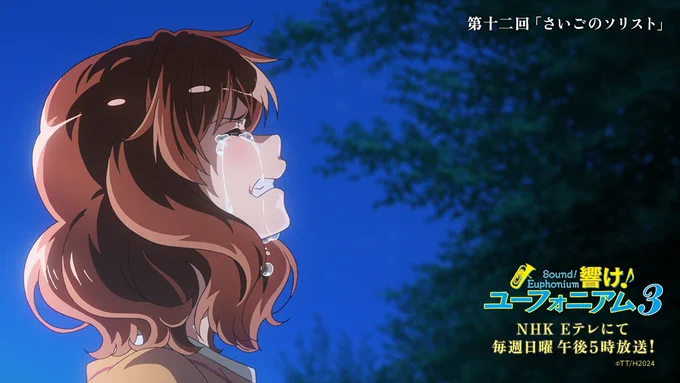 12回を観ました。まさか最後のユーフォソリを久美子が吹けないとは…。これはもう『アニメ版響け!ユーフォニアム 』という独立した物語ですね。久美子と麗奈の涙のシーン、本当に綺麗でしたね。この涙はきっと2人にとって今後大きな財産となることでしょう。#ユーフォ3期 