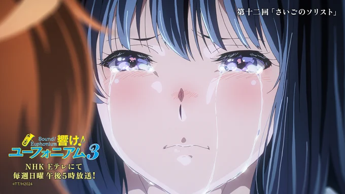 12回を観ました。まさか最後のユーフォソリを久美子が吹けないとは…。これはもう『アニメ版響け!ユーフォニアム 』という独立した物語ですね。久美子と麗奈の涙のシーン、本当に綺麗でしたね。この涙はきっと2人にとって今後大きな財産となることでしょう。#ユーフォ3期 