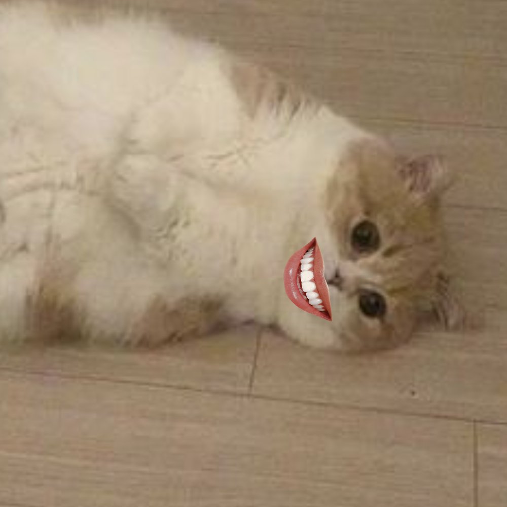 We are still here, pushing this project. So much drama happened when we sleep but not to worry. Community is strong holding the floor. Marketing plans will start soon. fuck the jeets, they will cope harder.